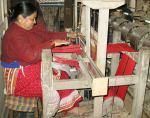 Pashmina Cashmere - Production process